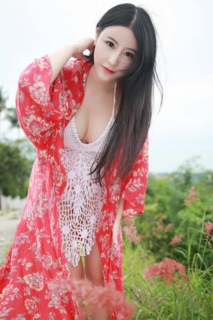 鸭乃桥论的禁忌推理