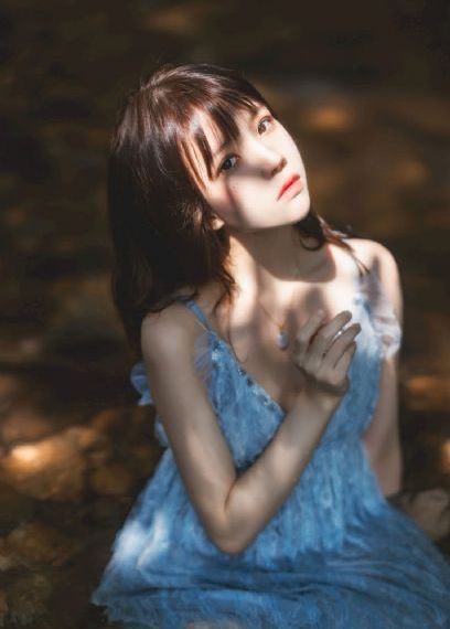 机机对机机在线观看